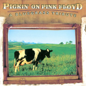 Pickin' On Pink Floyd: A Bluegrass Tribute - Pickin' On Series