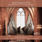 6 Organ Sonatas, Op. 65, No. 4 in B-Flat Major: II. Andante religioso - Andreas Boltz