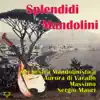 Stream & download Splendidi mandolini