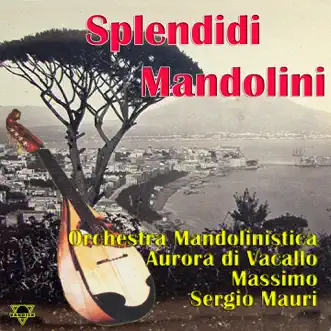 Splendidi mandolini by Orchestra Mandolinistica Aurora di Vacallo, Massimo & Sergio Mauri album reviews, ratings, credits