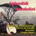 Splendidi mandolini album cover