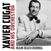 Miami Beach Rhumba artwork