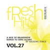 Fresh Karaoke Hits - 2014, Vol. 27