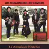 12 Ansuelazos Norteños album lyrics, reviews, download