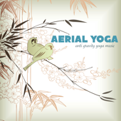 Aerial Yoga - Anti Gravity Yoga Music, Light Fitness Songs - The Yoga Specialists