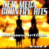 New Mega Country Hits, Vol. 1 artwork