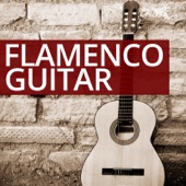 The Flamenco Guitar artwork