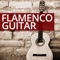 The Sound of a Flamenco Guitar artwork