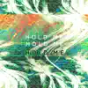 Hold Me Remixes - EP album lyrics, reviews, download