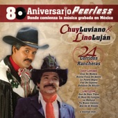 Chuy Luviano - Una pura y dos con sal