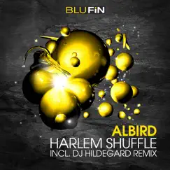 Harlem Shuffle (DJ Hildegard Remix) Song Lyrics