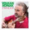 Aleni Aleni - Volkan Konak lyrics