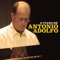A Felicidade - Antonio Adolfo lyrics