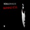 Burning Soul (Michelle C Daylight Remix) - Soulshade lyrics