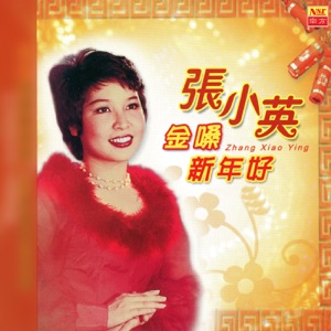 Zhang Xiao Ying (張小英) - Gong Xi Da Jia Xin Nian Hao (恭喜大家新年好) - 排舞 音乐