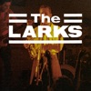 The Larks Live in Kingston