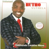 Olothando lwakho Nkosi artwork