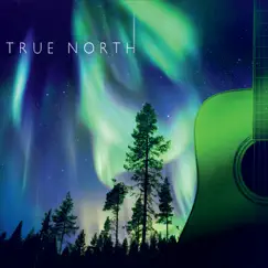 True North by Jim Green album reviews, ratings, credits