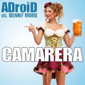 Camarera (ADroiD vs. Benny Moore) [Punch Remix] artwork