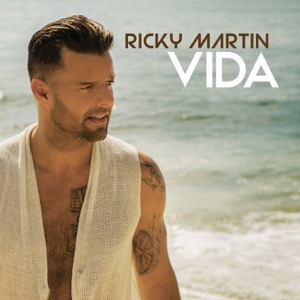 Ricky Martin - Vida (Dudu Borges Remix) - Line Dance Music