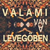 Valami Van A Levegőben artwork