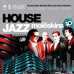 The Moleskins - It's Too Late