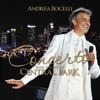 Concerto: One Night in Central Park