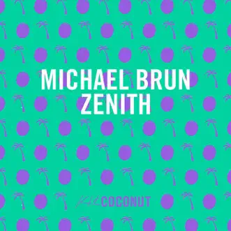 Zenith - Single by Michaël Brun album reviews, ratings, credits