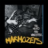 The Weird and Wonderful Marmozets artwork