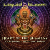 Heart of the Shamans: Ceremonial Medicine Songs artwork