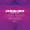 Open Heart (feat. Lissie) [Markus Schulz Remix] - Morgan Page lyrics