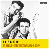 It Was I - The Best of Skip & Flip