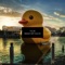 Wash My Duck (Manuel-M Remix) - F.e.m lyrics