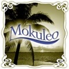 MokuLeo - I Can't Believe It's You