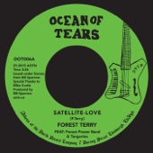 Satellite-Love - Single