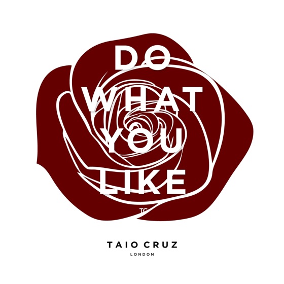 Cover artwork for Do What You Like