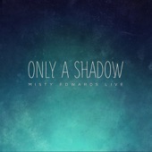 Only a Shadow (Live) artwork