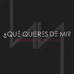 Qué Quieres de Mi - Single - Gebriiel Gonzalez Qué Quieres de Mi - Single - Gebriiel Gonzalez