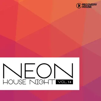 Neon House Night, Vol. 14 by Various Artists album reviews, ratings, credits