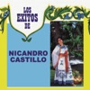 Los Éxitos de Nicandro Castillo, 2015