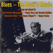 Blues – the Devil's Music (feat. Little Brother Montgomery, Brownie McGhee, Sonny Terry, Roosevelt Sykes & Jimmy Cotton) artwork