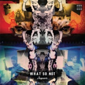 What So Not - Jaguar