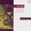 Brahms: Hungarian Dances for String Orchestra artwork