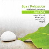 Spa & Relaxation, Vol. 2 artwork