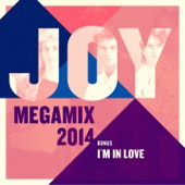 Megamix 2014 (Long Version) artwork