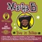 Respect to the Mothers - Macka B, Mad Professor & The Robotics lyrics