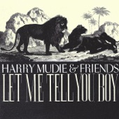 Harry Mudie & Friends-Let Me Tell You Boy artwork