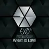 What Is Love (Chinese Version) - Single album lyrics, reviews, download