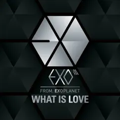 What Is Love (Chinese Version) Song Lyrics