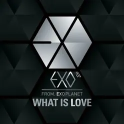 What Is Love (Chinese Version) - Single - Exo-M What Is Love (Chinese Version) - Single - Exo-M